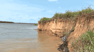 Landslides on the banks of the Nhat Le River are increasingly encroaching deeper into the mainland, causing people to worry. Photo: Thanh Trung recorded on September 15