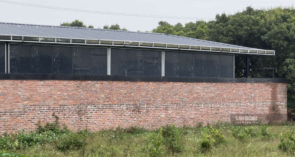Cases where it is not mandatory to demolish houses built on agricultural land. Photo: Anh Tuan