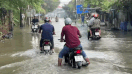 High tide at provincial road 923 (Can Tho City). Photo: Ta Quang
