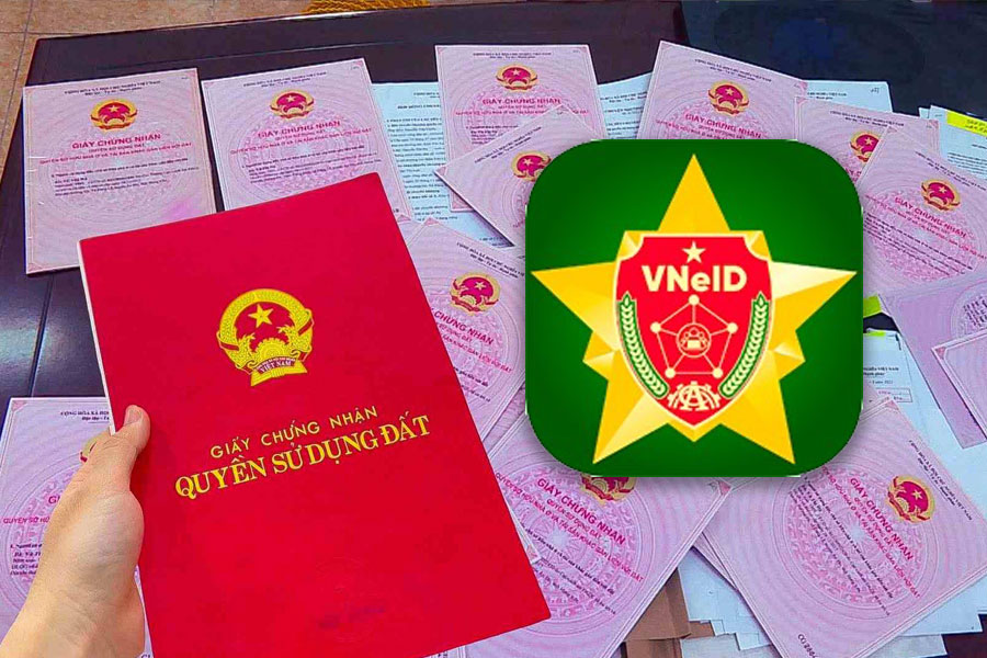 New information about electronic red book issuance