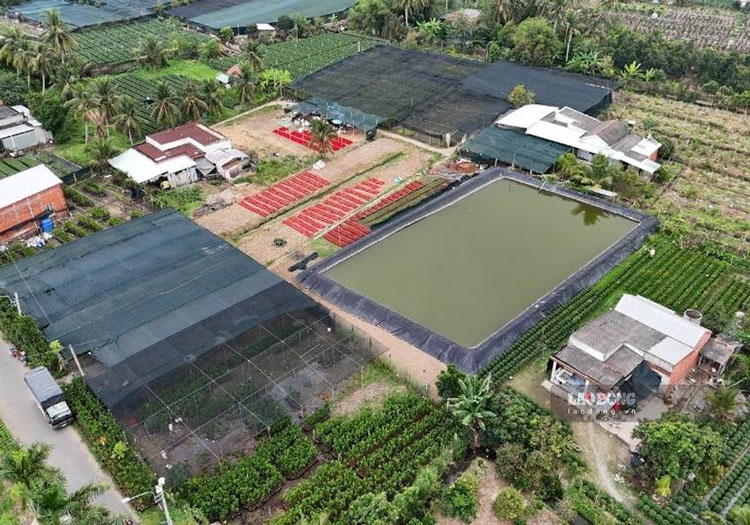 Người dân trữ nước ngọt, ứng phó xâm nhập mặn tại địa phương. Ảnh: Hoàng Lộc (chụp T12.2025)