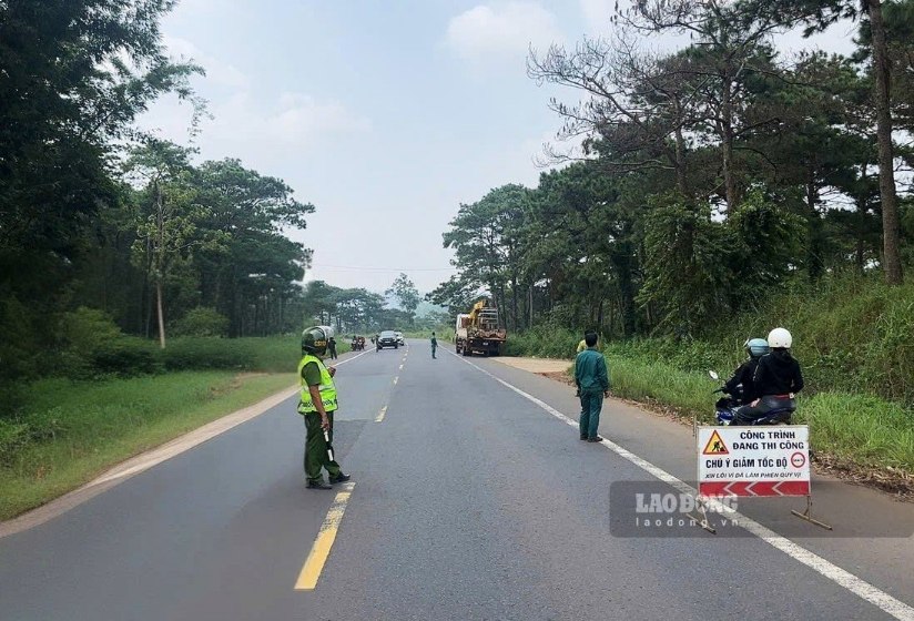 Lực lượng chức năng phối hợp điều tiết bảo đảm an toàn giao thông trên Quốc lộ 14 để xử lý các cây thông có nguy cơ ngã đổ. Ảnh chụp ngày 16.9. Ảnh: Nhi Nhi