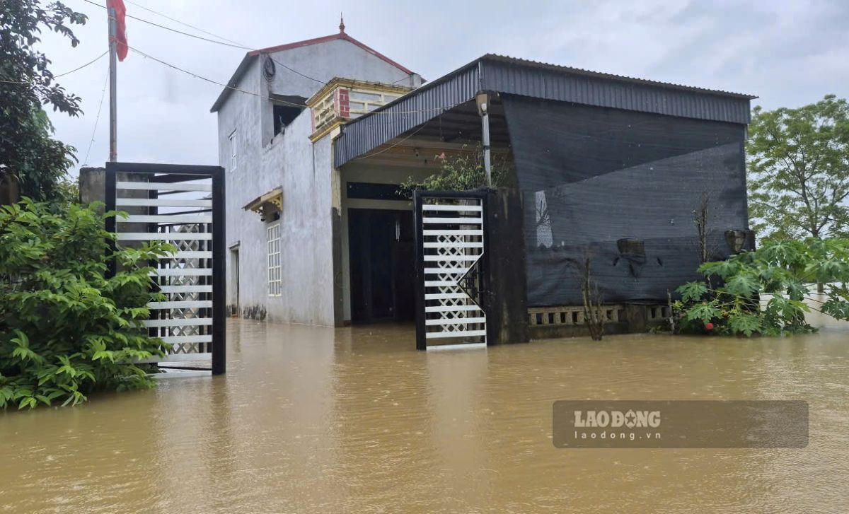 Các hộ dân dọc tỉnh lộ 523 (đoạn qua thôn 4 Thành Trực, xã Kim Tân, tỉnh Thanh Hóa) bị ngập sâu. Ảnh: Quách Du (chụp ngày 16.9.2026)