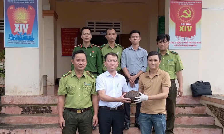 The pangolin individual was handed over on September 16. Photo: Khe Sanh Commune People's Committee