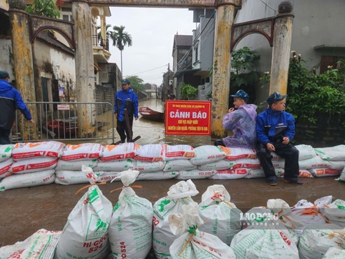 Lực lượng chức năng dùng bao cát chặn nước từ sông Bùi tràn vào nội đồng và khu dân cư. Ảnh: Minh Hạnh chụp ngày 16.5.2026