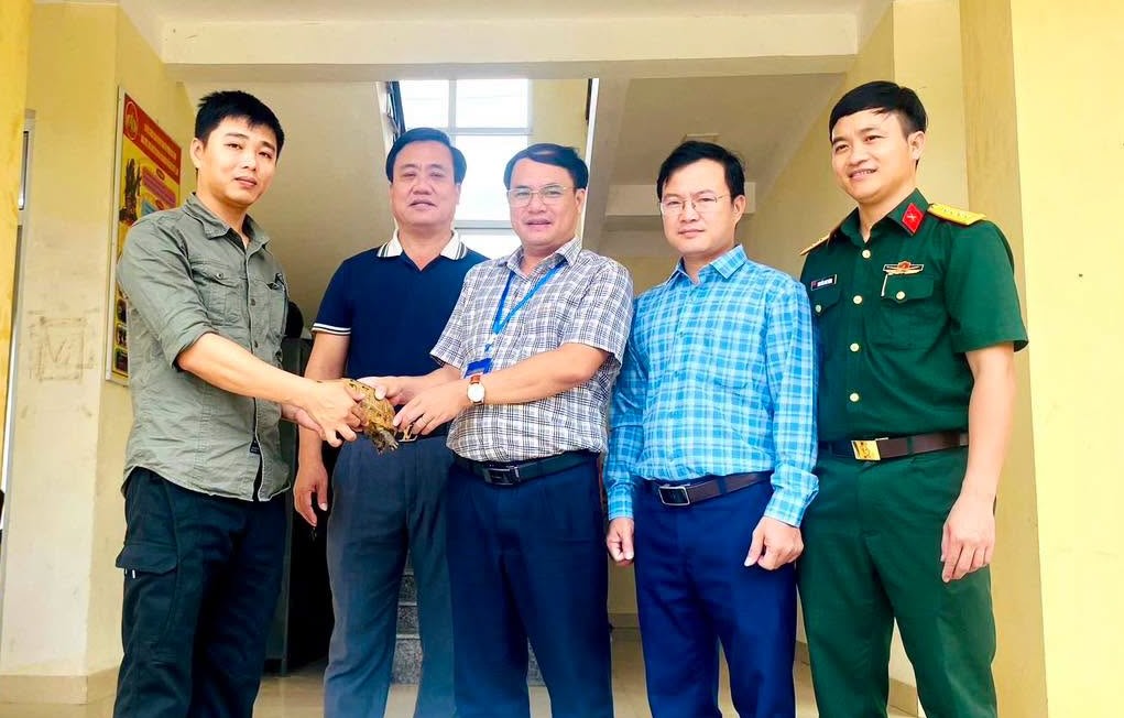 Handing over a golden mountain turtle to functional forces on September 16. Photo: Bac Gianh Ward People's Committee