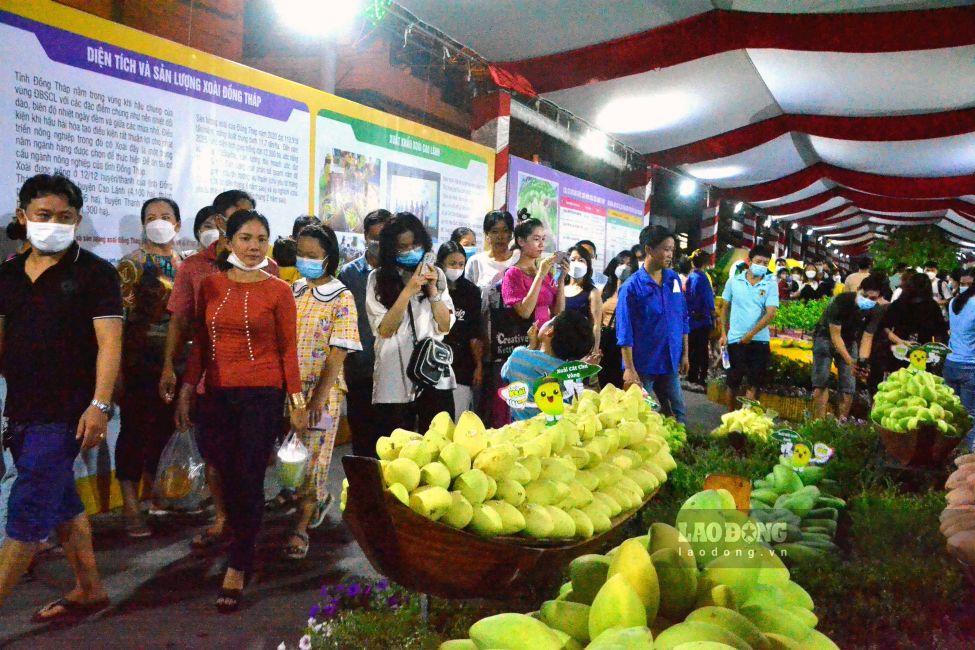 The mango industry, a strong specialty of Dong Thap, will be brought closer to the Ho Chi Minh City market by the province through the Conference. Photo: Thanh Mai (Documentary photo, taken at Cao Lanh Mango Festival, Dong Thap province)