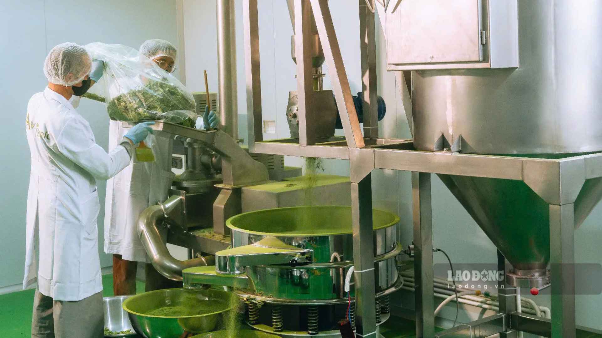 Để nâng tầm nông sản Việt, điều quan trọng là phải chuyển từ xuất khẩu nguyên liệu sang tham gia sâu hơn vào chuỗi giá trị. Ảnh: Tuyết Lan (Chụp năm 2026)
