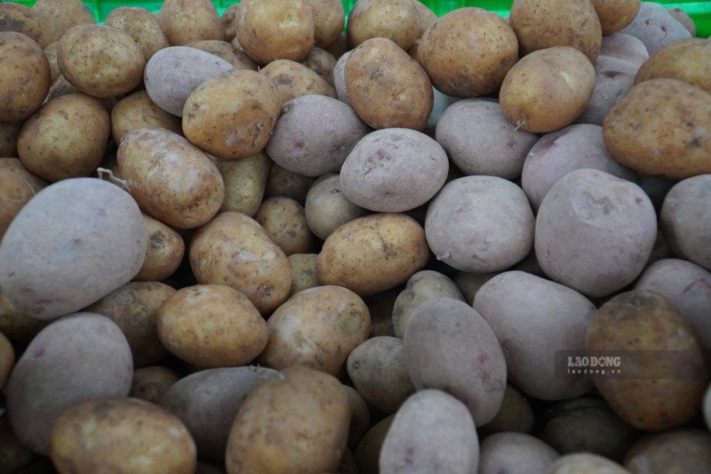 Las patatas y la calabaza amarga se pueden combinar en la dieta para perder peso. Foto: Hạ Mây