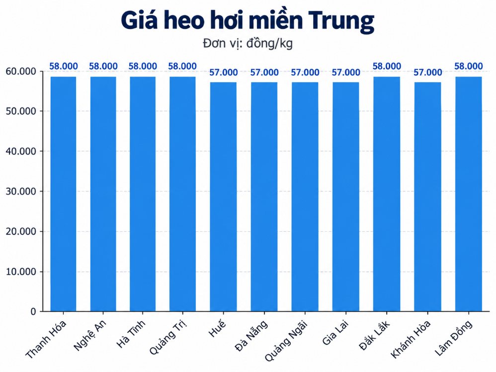 Giá heo hơi hôm nay ở miền Trung. Đồ họa: AI