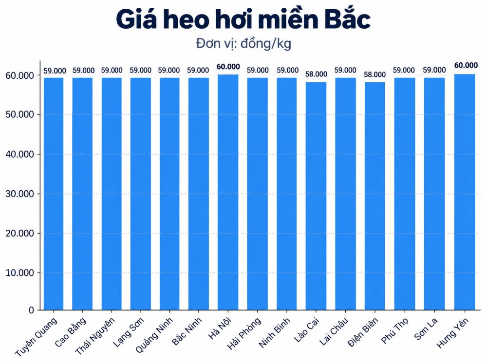 Giá heo hơi hôm nay tại khu vực miền Bắc. Đồ họa: AI