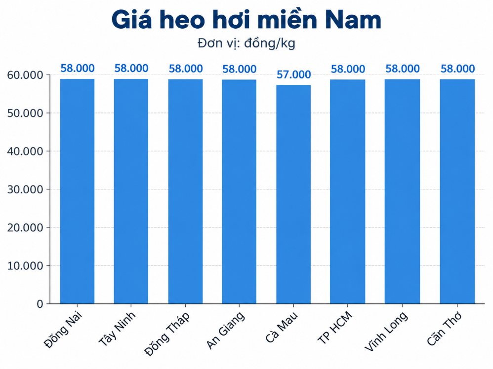Giá heo hơi hôm nay tại miền Nam. Đồ họa: VFC