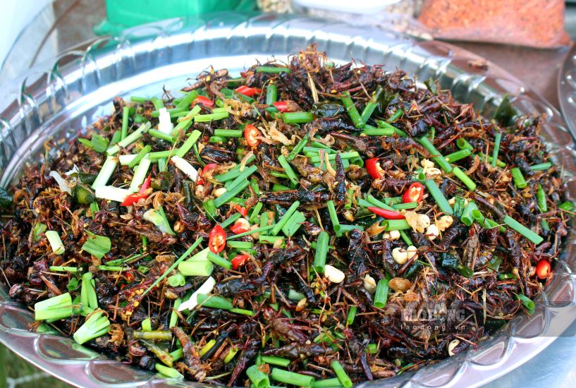 Cận cảnh đặc sản cào cào chiên giòn. Ảnh: Thanh Mai (Ảnh chụp tháng 9.2026) 