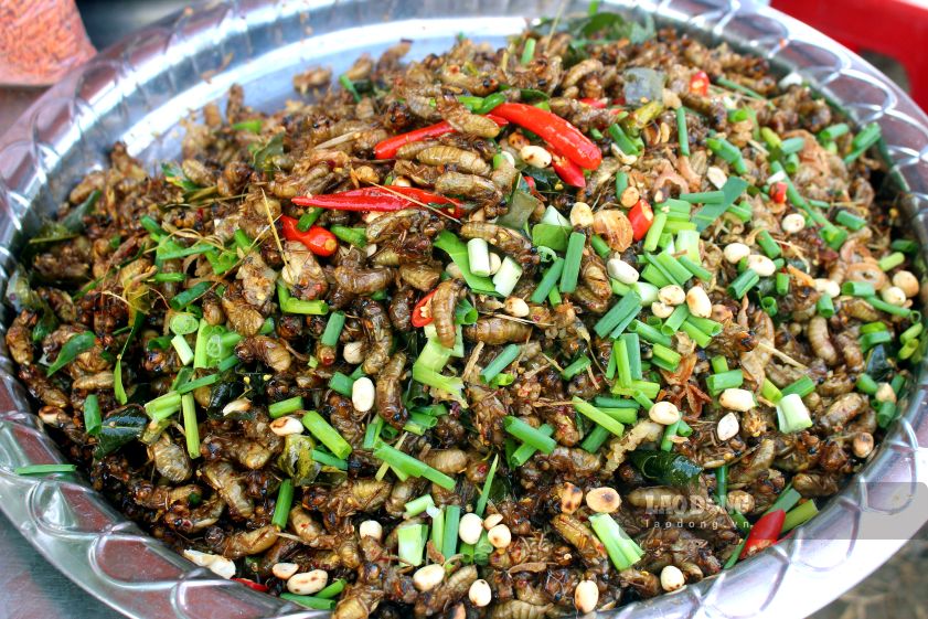 Phát thèm với món nhọng chiên giòn. Ảnh: Thanh Mai (Ảnh chụp tháng 9.2026)