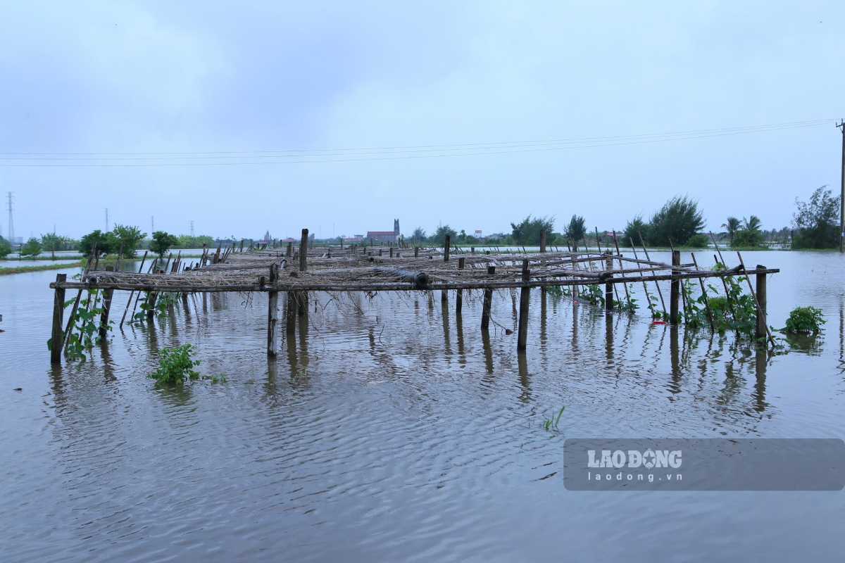 Nhiều khu vực ở xã Quỹ Nhất, tỉnh Ninh Bình bị ngập do ảnh hưởng của mưa kéo dài. Ảnh: Hà Vi (chụp ngày 16.9)