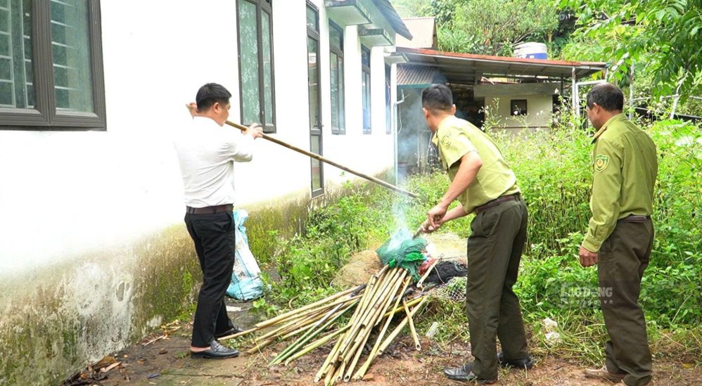 Những công cụ bị sử dụng để săn bắt trái phép lực lượng chức năng thu giữu và tiêu huỷ