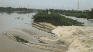 High floodwaters caused canal banks in Thanh Hoa to break apart. Photo: Quach Du