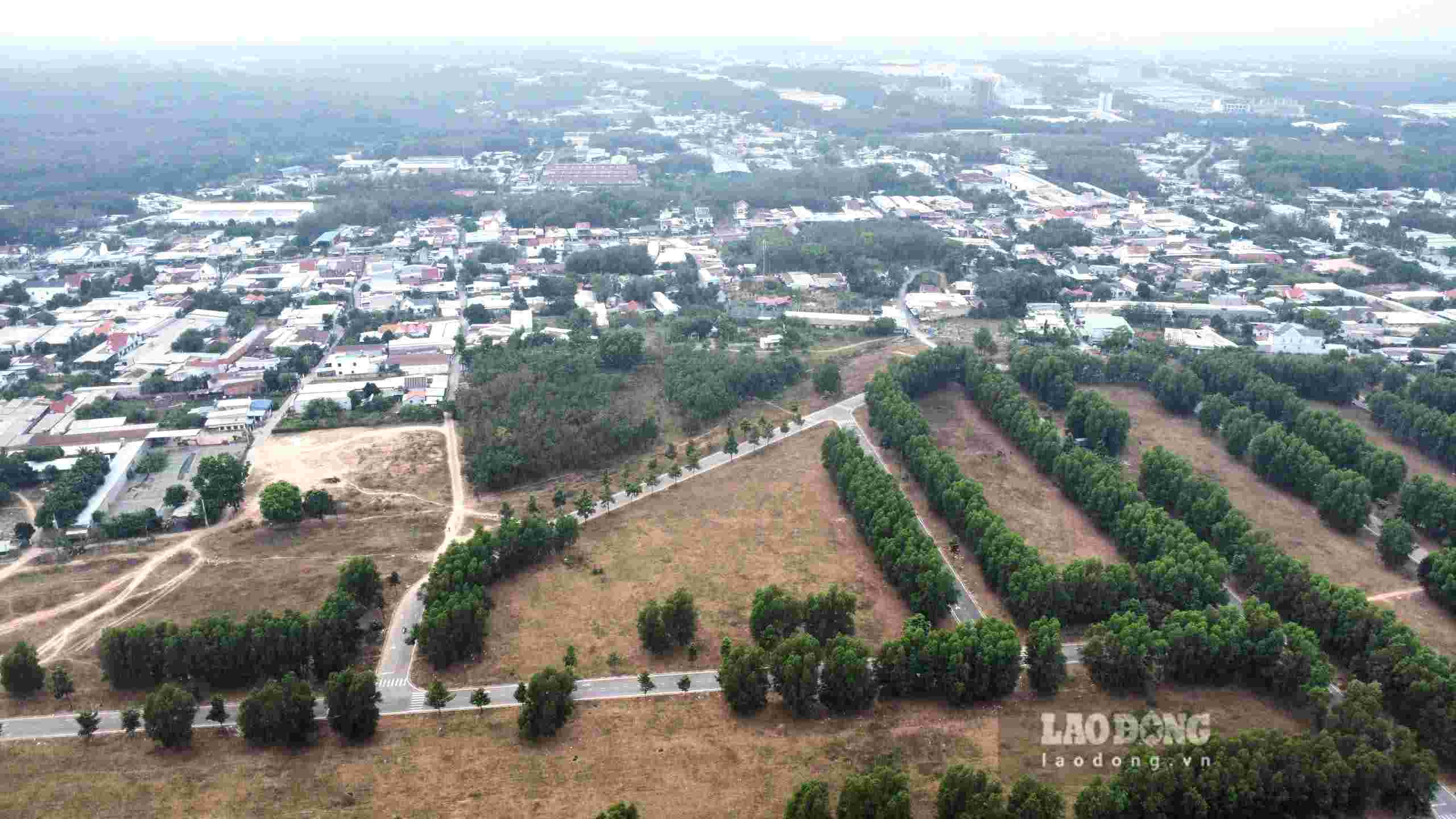 Binh Duong Ward reviews 48 public land plots in the area to issue red books and manage and use them. Photo: Dinh Trong
