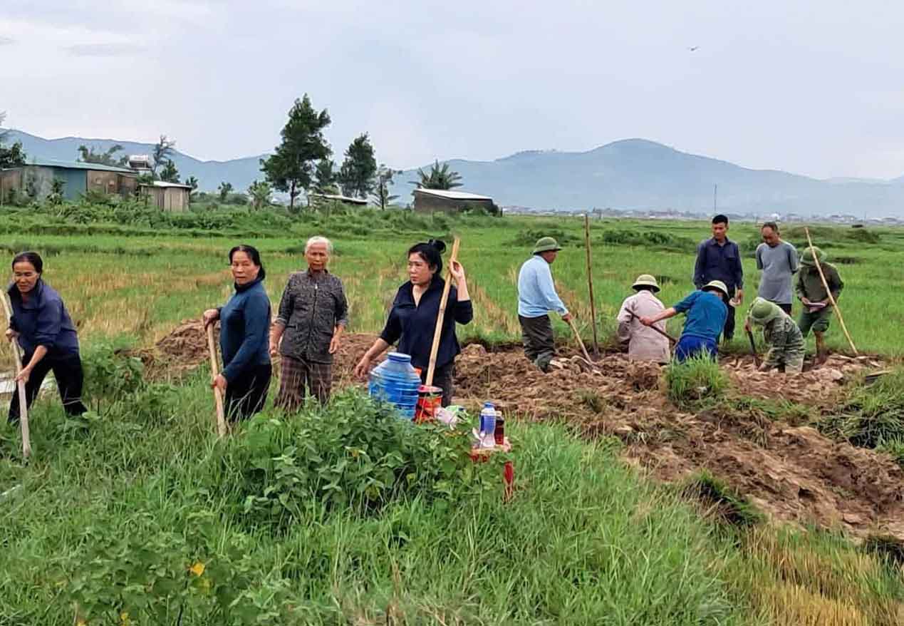 People are excavating to repatriate graves scattered in the fields to the cemetery. Photo: Ky Khang Commune Fatherland Front Committee