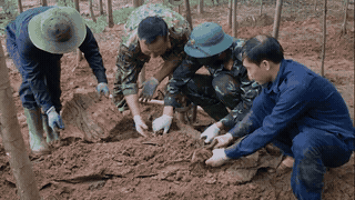 Continuing to discover more martyr remains in Bai Dinh village. Photo: Quang Tri Military Command