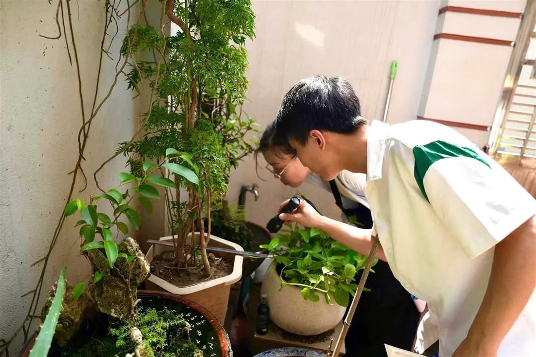 Hai Phong CDC officials check mosquito density in An Bien ward. Photo: Hai Phong Department of Health e-Portal