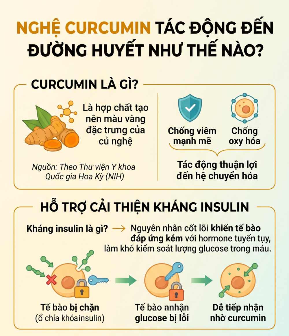 Infographic tóm tắt những lưu ý quan trọng khi sử dụng nghệ và curcumin để hỗ trợ ổn định đường huyết an toàn, khoa học cho người bệnh đái tháo đường. Đồ họa: AI
