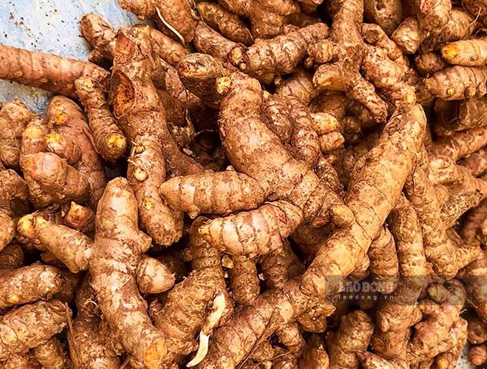 Turmeric and curcumin active ingredients contribute to supporting blood sugar stabilization and reducing insulin resistance for people with diabetes. Photo: Tra My