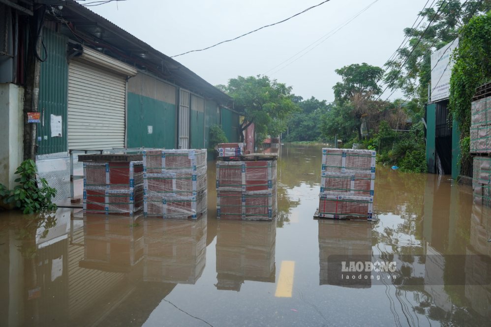 関係当局は、9月17日午前7時からダイタイン橋を一時的に閉鎖します。写真:ソン・フウ
