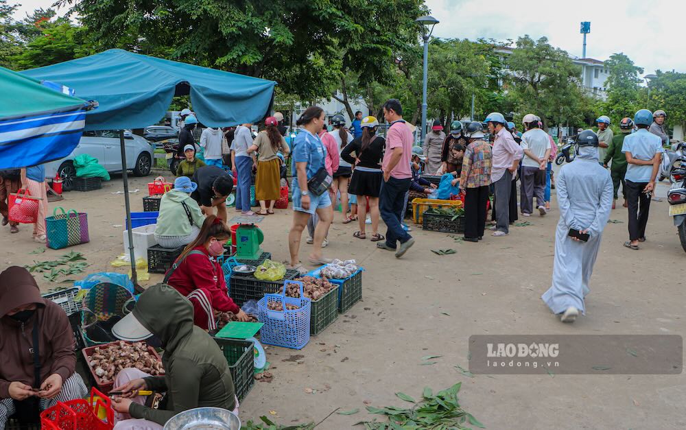 Khu chợ bán “lộc trời” chỉ sau mưa mới hoạt động. Ảnh: Nguyễn Luân