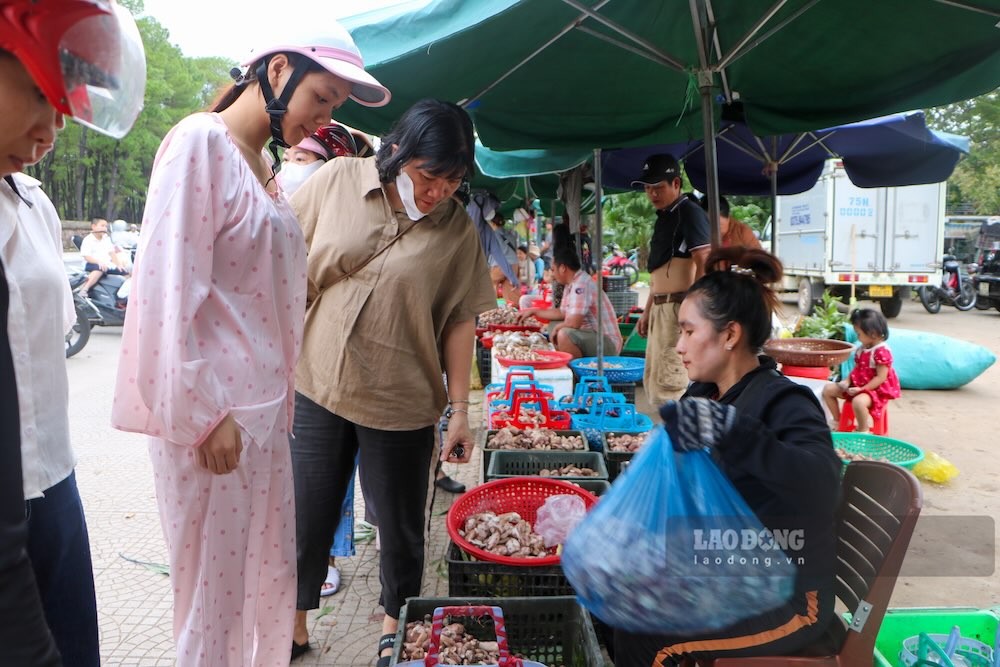In the afternoon of September 17, people chose to buy melaleuca mushrooms at a centralized selling point next to Dan Nam Giao. Photo: Nguyen Luan
