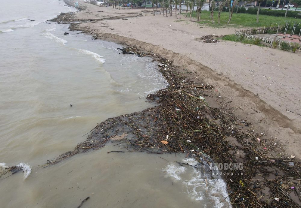 Sam Son beach flooded with firewood and wood after floods. Photo: Quach Du (taken on September 18, 2026)