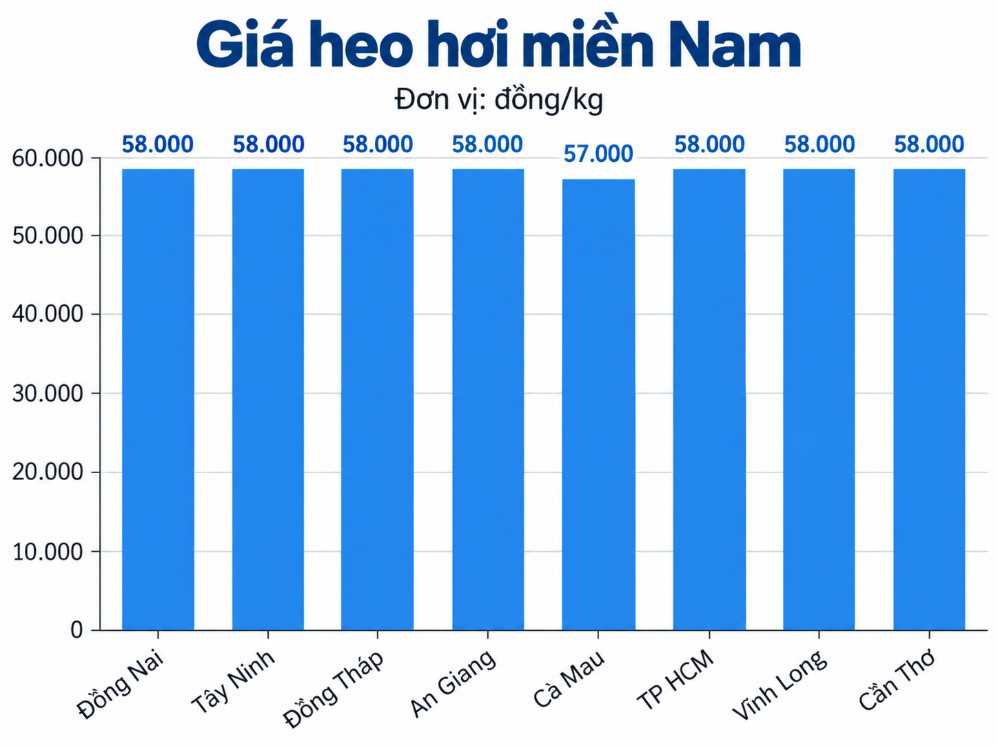 Giá heo hơi hôm nay tại khu vực miền Nam. Đồ họa: AI