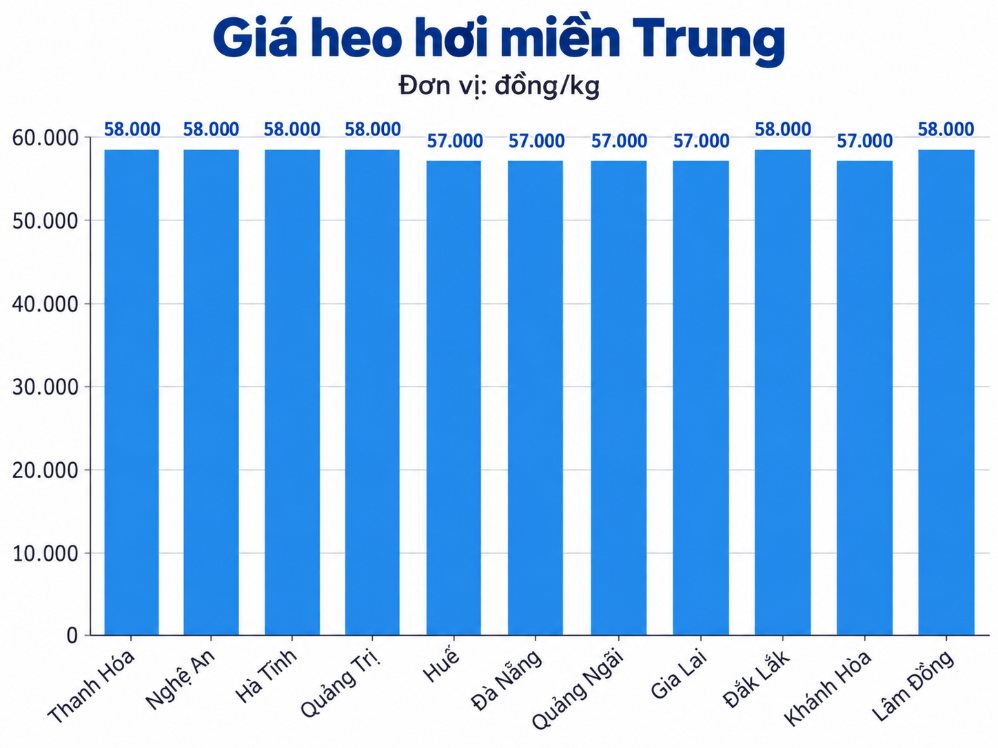 Giá heo hơi hôm nay tại khu vực miền Trung. Đồ họa: AI