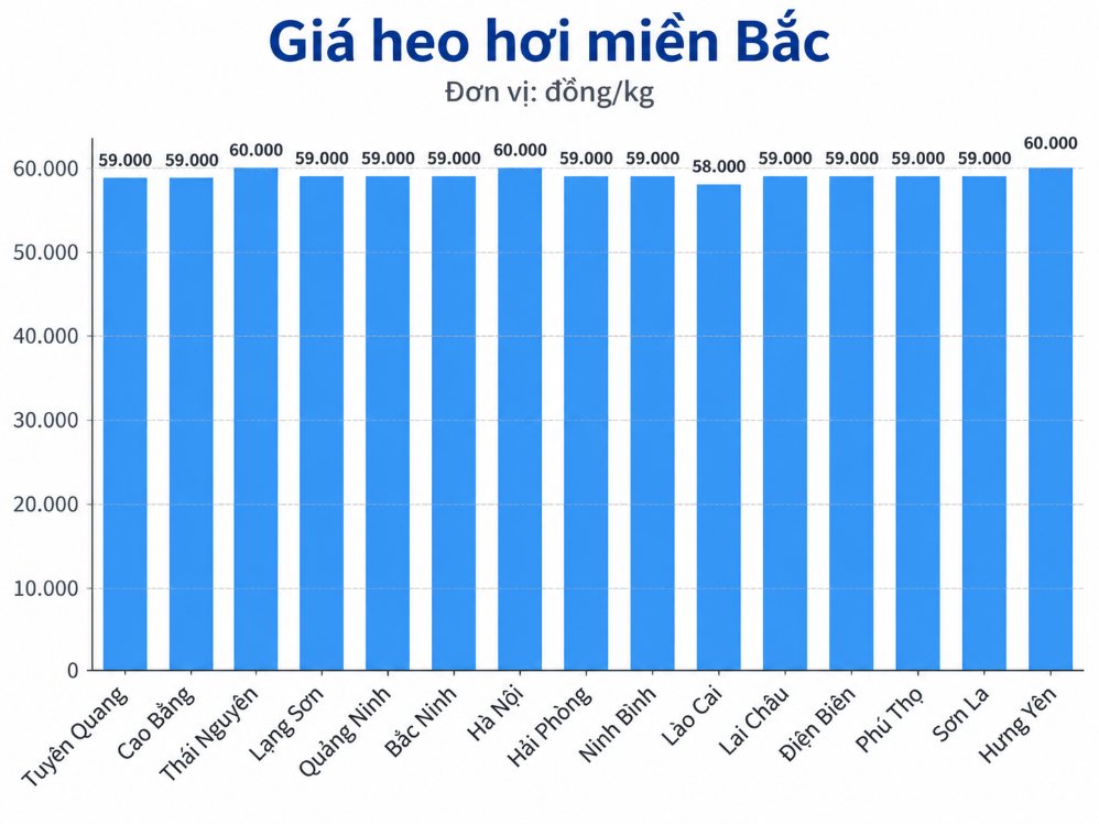 Giá heo hơi hôm nay tại khu vực miền Bắc. Đồ họa: AI