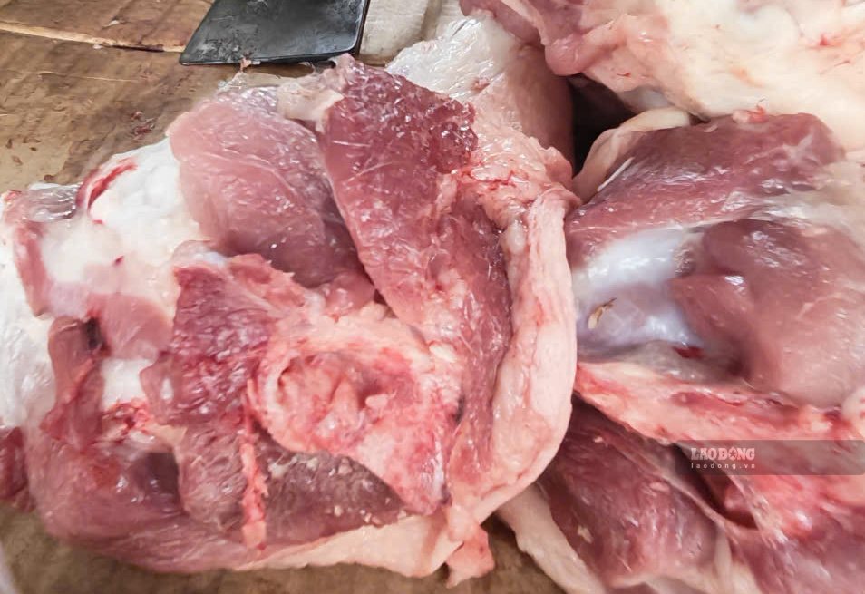 Live hog prices today, September 18, slightly increased in the Northern region. Photo: Thuy Linh