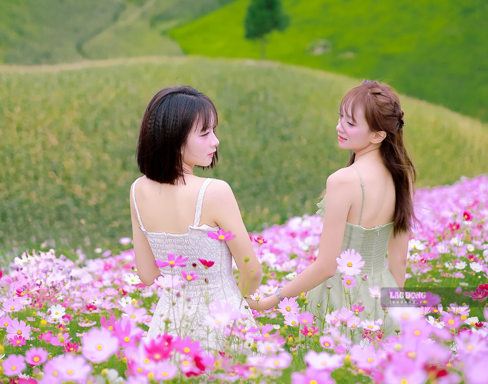 Bên cạnh vườn hoa của hộ dân, bà Hường cho biết địa phương đã trồng khoảng 3.000 gốc hoa sim từ nguồn vận động xã hội hóa, với mong muốn tạo thêm điểm nhấn cảnh quan.