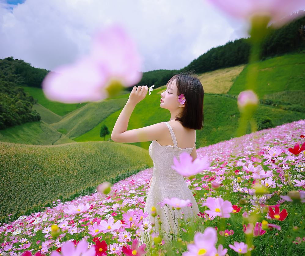 Du khách chụp ảnh giữa khoảng hoa nở rộ. Không gian vườn gắn với cảnh quan đồi núi tạo nên sức hút cho điểm đến này.