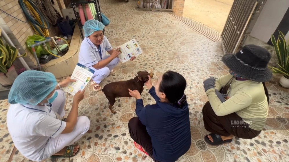 All 5 cases of dog bites have been guided by the Dong Son Commune Health Center, Quang Ngai province to treat wounds, vaccinate and get anti-rabbit serum. Photo: Ai Vy