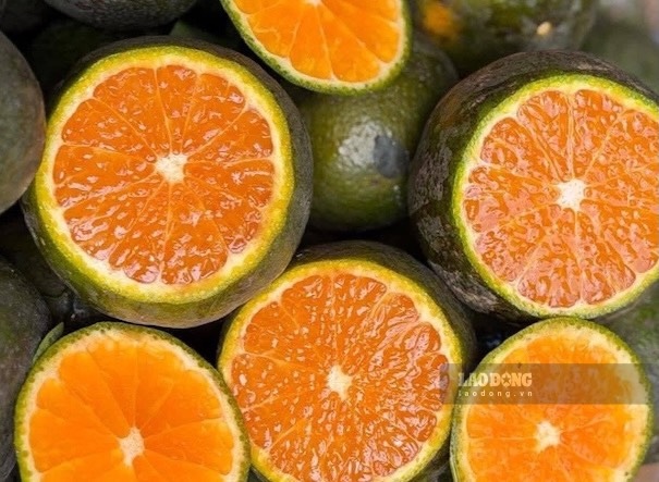 L'orange est l'un des types de fruits considérés comme un choix approprié pour ceux qui veulent contrôler l'acide urique tout en contenant des fruits dans leur alimentation. Photo: Kiều Vũ