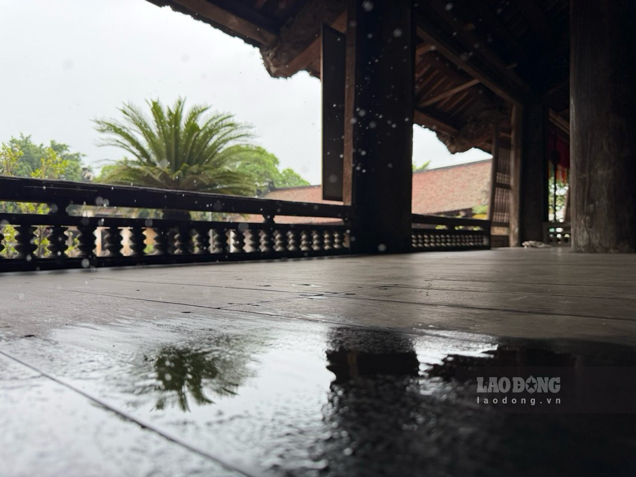 Nhiều khu vực bên trong đình cổ bị dột, nước dột từ mái đình xuống sàn thành vũng lớn. Ảnh: Thùy Linh