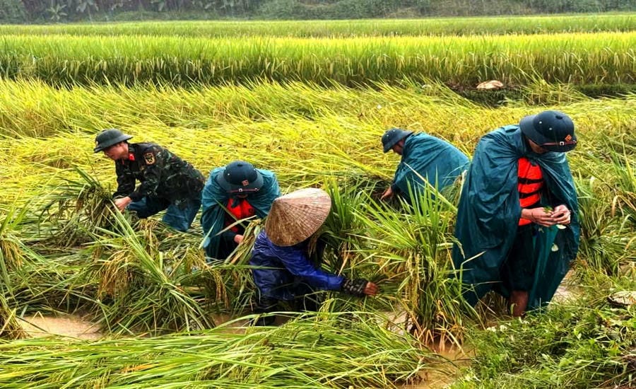 Police and military forces in Thanh Hoa are making efforts to respond and urgently support people to overcome the consequences of floods. Photo: Tran Lam