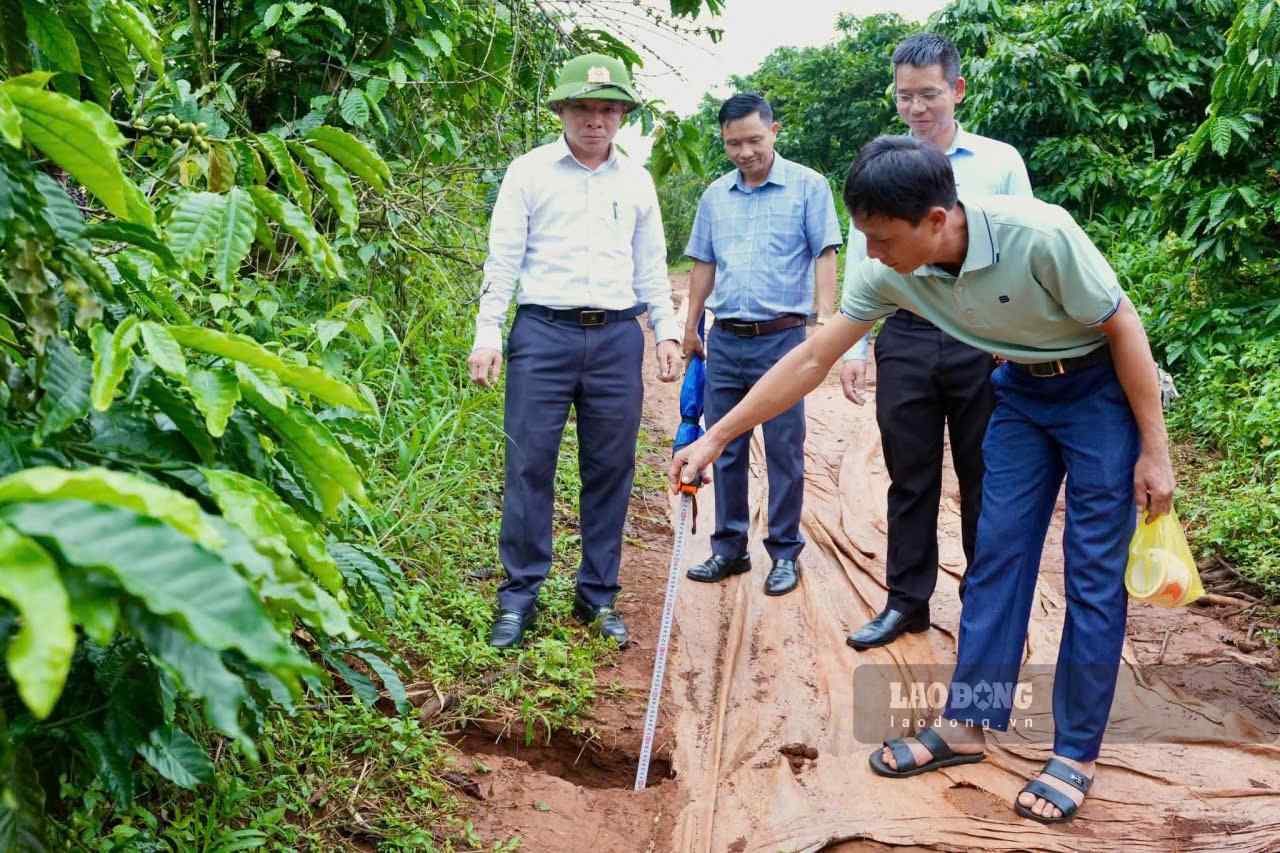 Lực lượng chức năng phường Bắc Gia Nghĩa kiểm tra tình trạng nứt lún tại Tổ dân phố