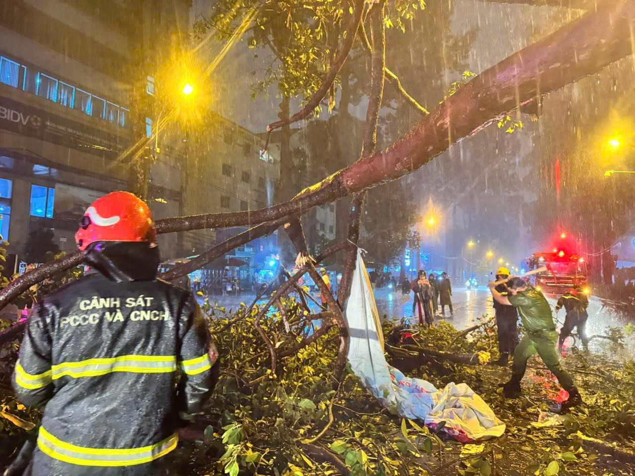 Scene of a fallen tree crushing a pedestrian to death on September 18. Photo: Cho Quan Ward People's Committee