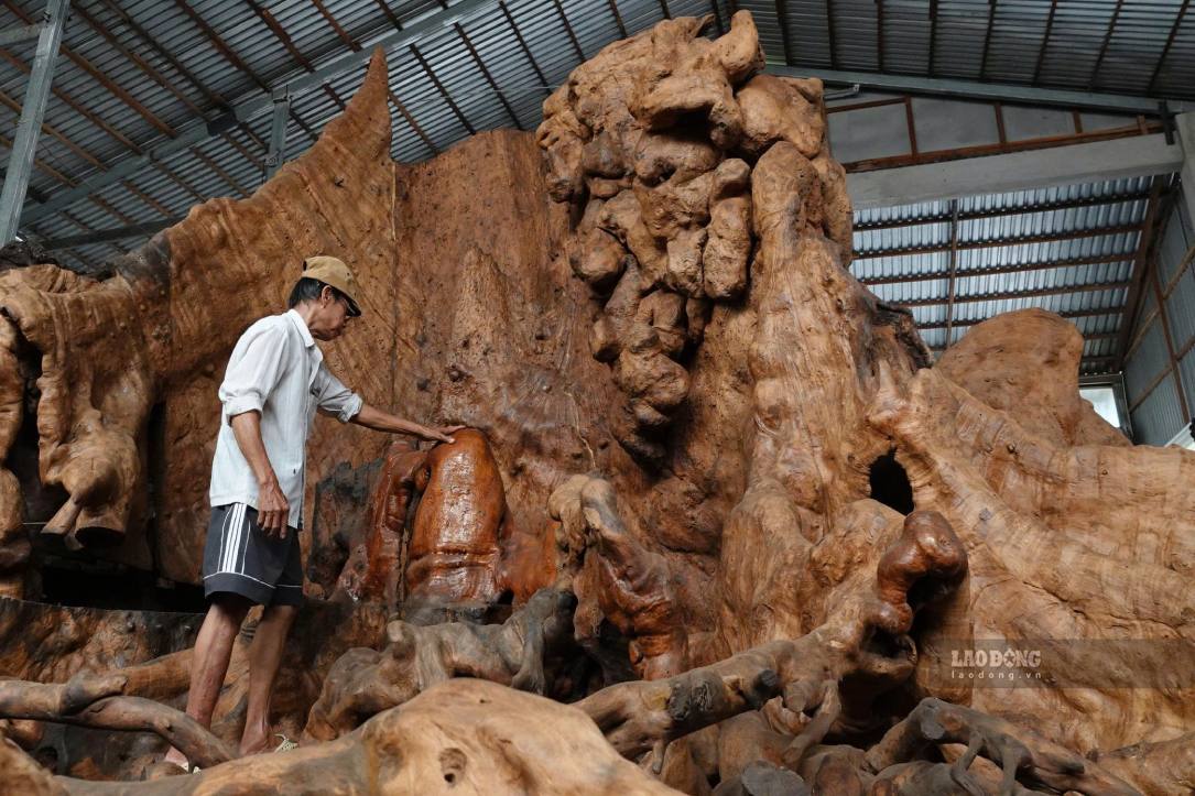 The ancient banyan tree is estimated by local people to have existed for more than 400 years. Photo: Ta Quang (photo taken in August 2026)