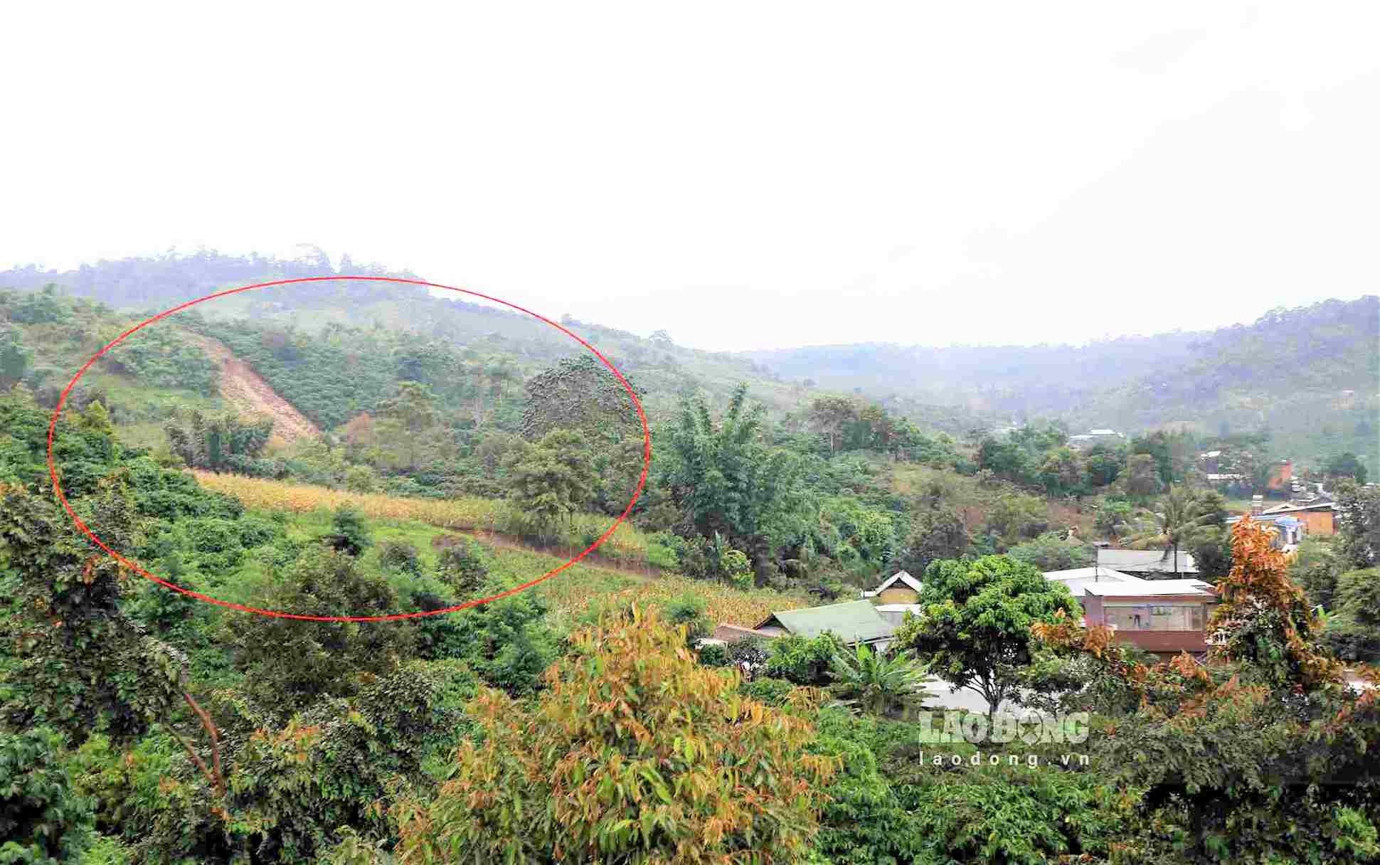 People need to stay away from dangerous landslide and subsidence areas to ensure safety. Photo: Phuc Khanh