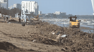 Mobilizing hundreds of people to collect firewood and garbage at Sam Son beach after floods. Photo: Quach Du
