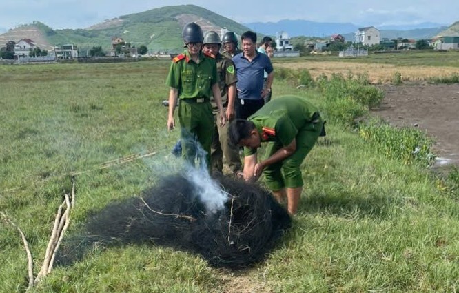 Functional forces of Bac Trach commune collect and handle bird hunting nets in 2026. Photo: Bac Trach Commune Police