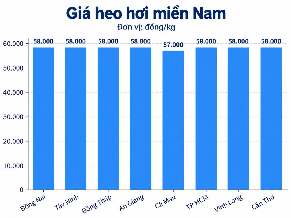 Giá heo hơi hôm nay ở miền Nam. Đồ họa: AI