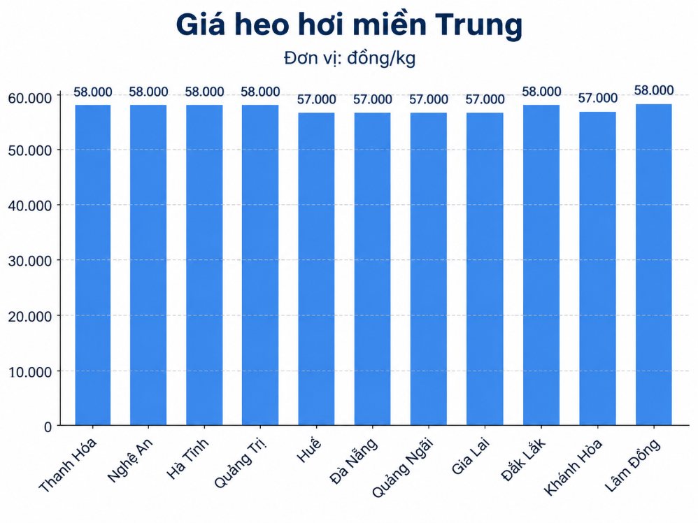 Giá heo hơi hôm nay ở miền Trung. Đồ họa: AI