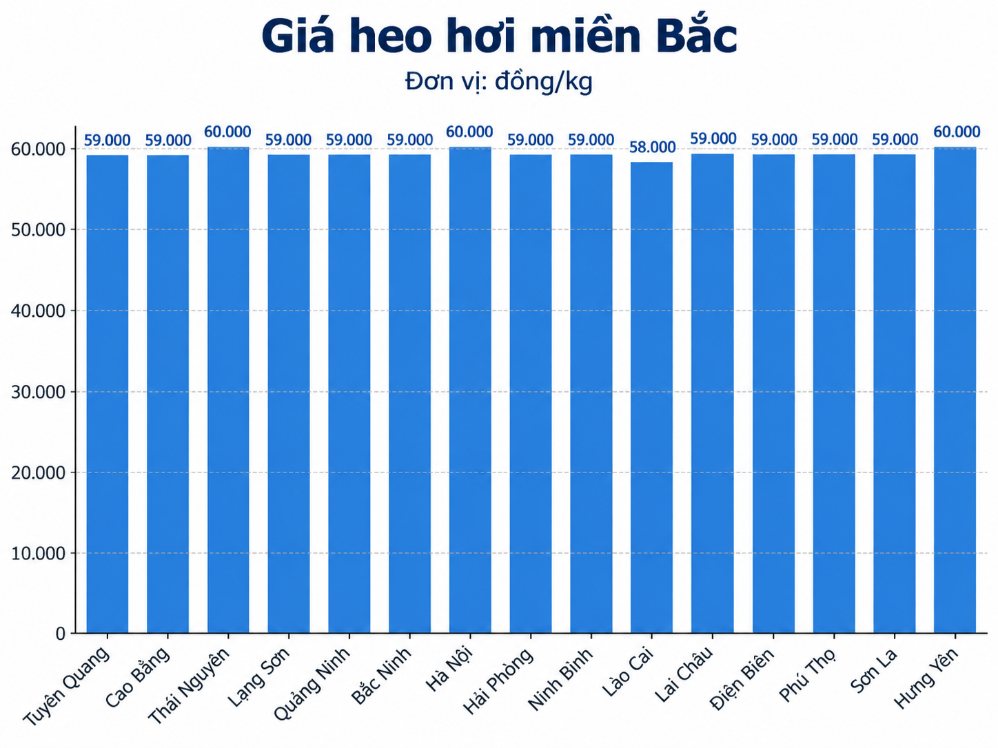 Giá heo hơi hôm nay ở miền Bắc. Đồ họa: AI